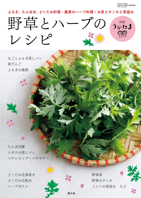 野草とハーブのレシピ(別冊うかたま2024年4月号)