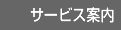 �T�[�r�X�ē�