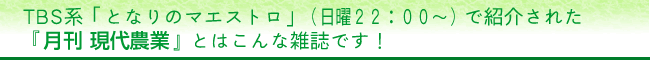 �s�a�r�n�u�ƂȂ�̃}�G�X�g���v�i���j�Q�Q�F�O�O�`�j�ŏЉ�ꂽ�w�����@����_�Ɓx�Ƃ͂���ȎG���ł��I