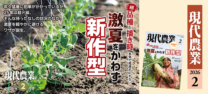 現代農業 現代農業