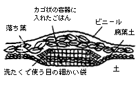 落葉と腐葉土を2〜3cm