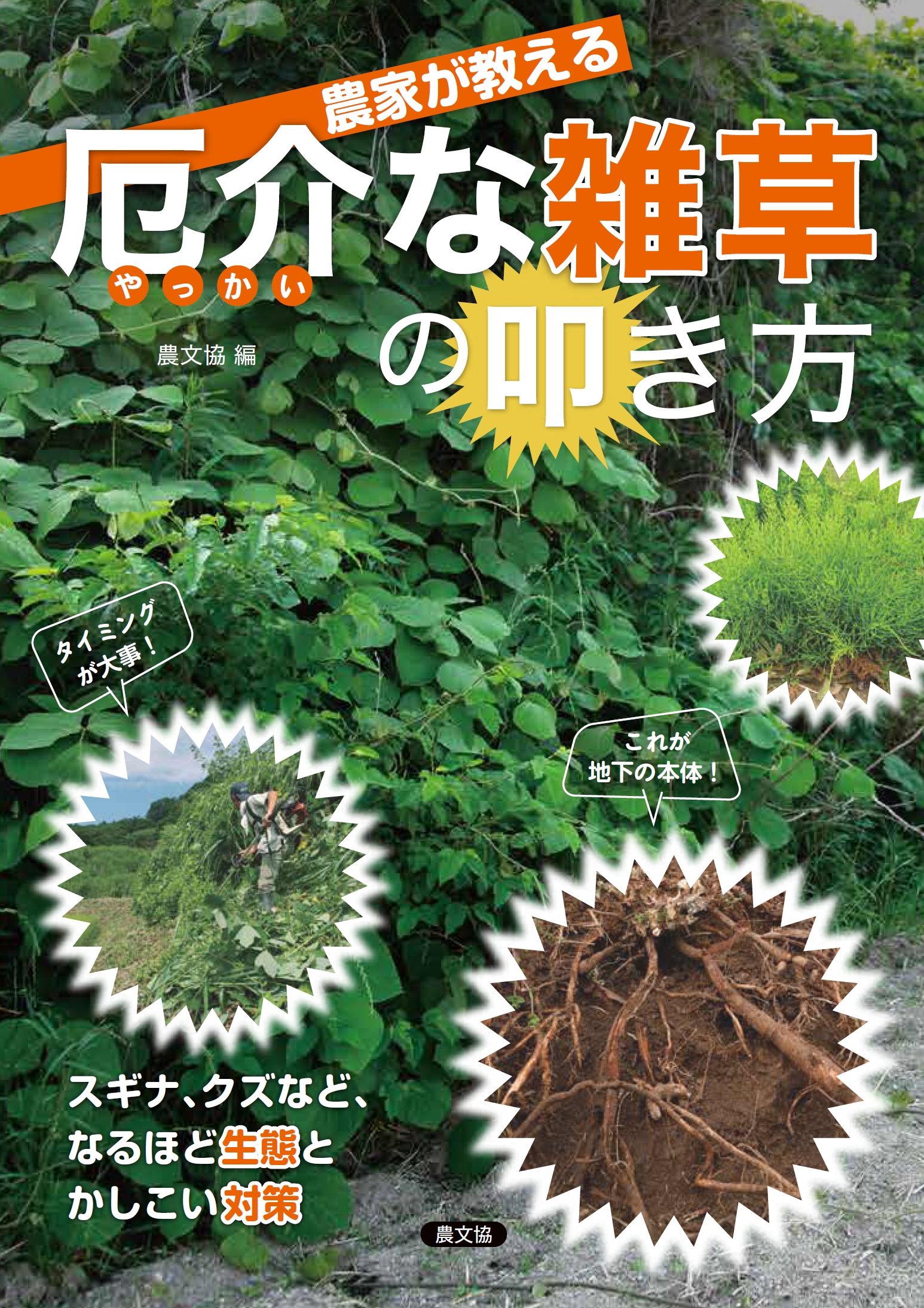 静岡大学　医学部　理系　文系　1970年版　赤本 岡山大学 理系 赤本 2000,2004,2010年度版 岡山大学（文系