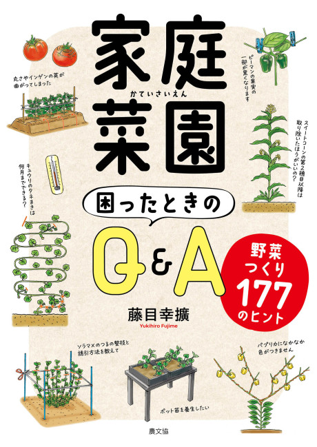 家庭菜園　困ったときのQ&A　野菜つくり177のヒント