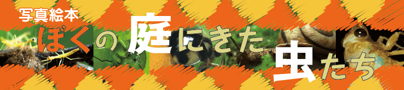 ʐ^G{@ڂ̒ɗ