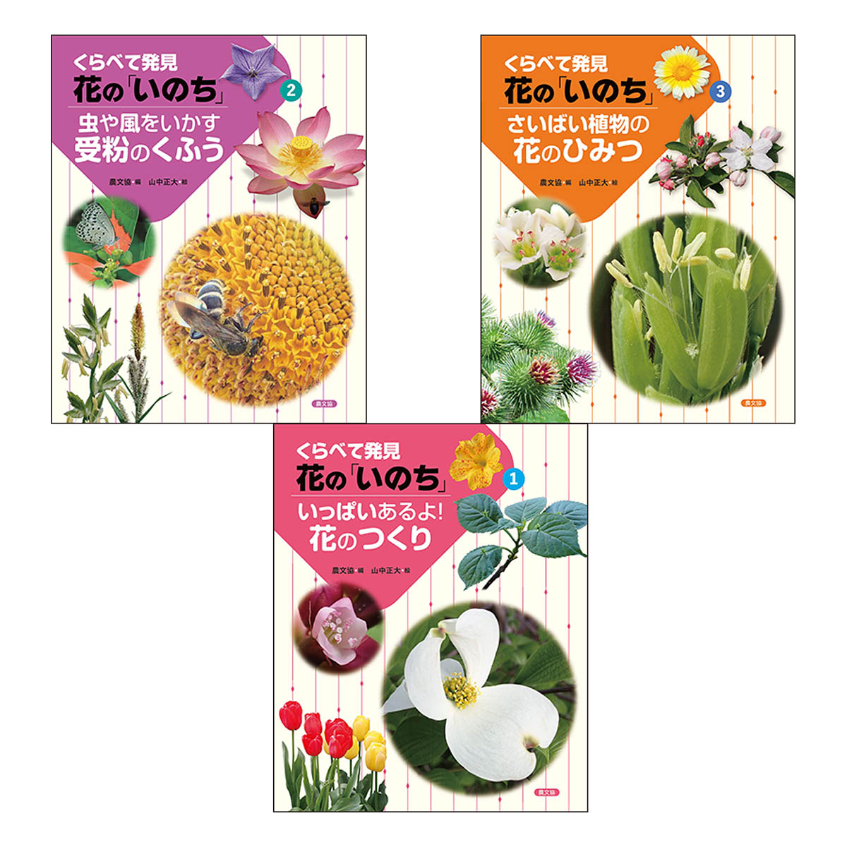 くらべて発見　花の「いのち」（全3巻）