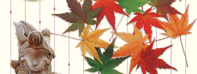 くらべて発見　葉っぱの「いのち」
