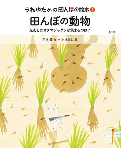 ２　田んぼの動物　足あとにオタマジャクシが集まるのは？