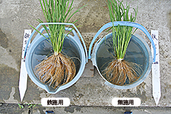 �S�̎{�p�ō����肪�悭�Ȃ����i�S99����45����2���ނ𕹗p���A222?�^10���{�p�j