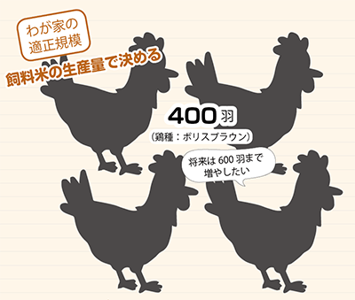 月刊 現代農業2017年1月号 今の時代、ニワトリ＋飼料米がベスト