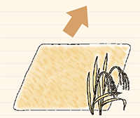 400�H�i�{��F�{���X�u���E���j