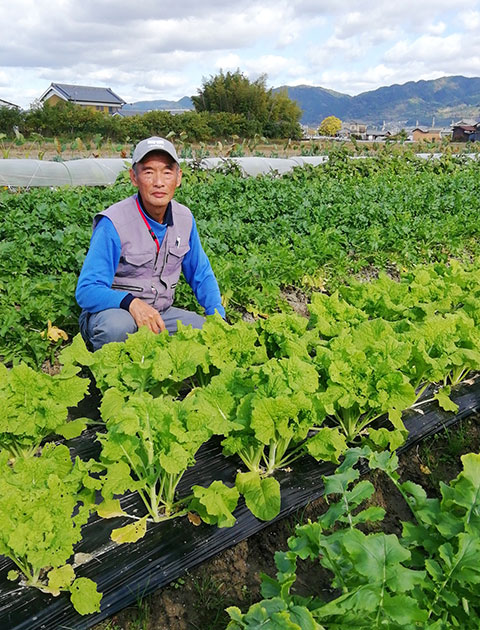 月刊 現代農業21年2月号 韓国 宮廷料理でも使われた韓国カボチャ カボッキー
