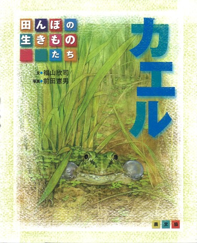 田んぼの生きものたち カエル』福山欣司文他 - 田舎の本屋さん