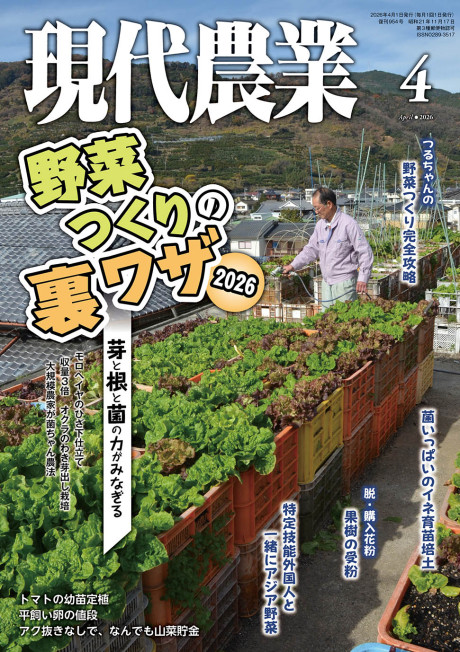 現代農業2026年4月号