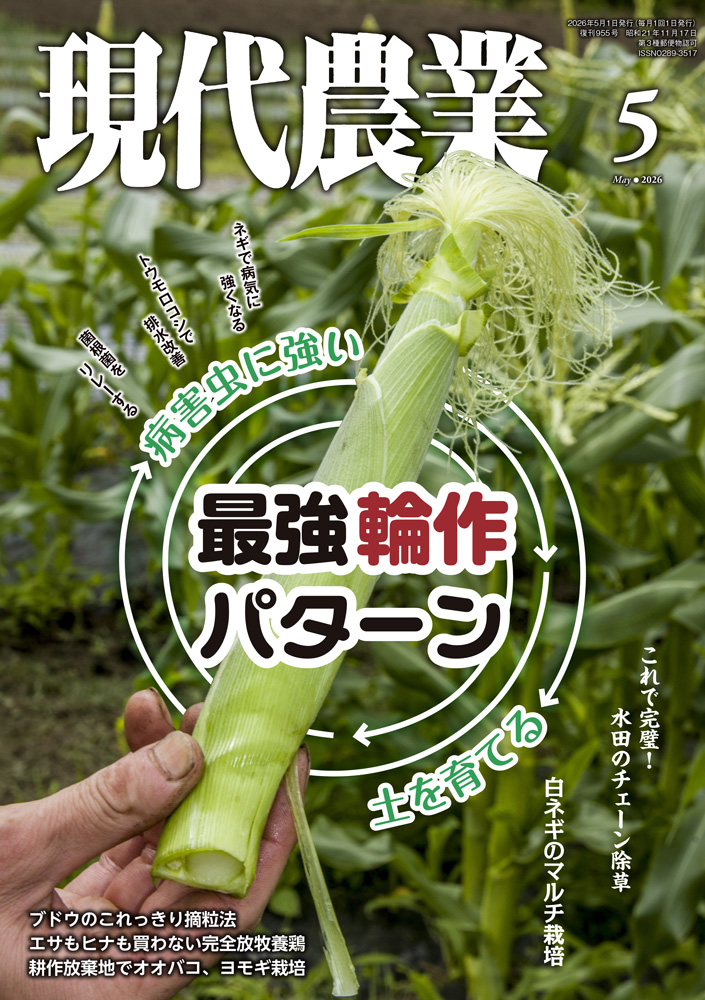 特集:病害虫に強い　土を育てる　最強輪作パターン