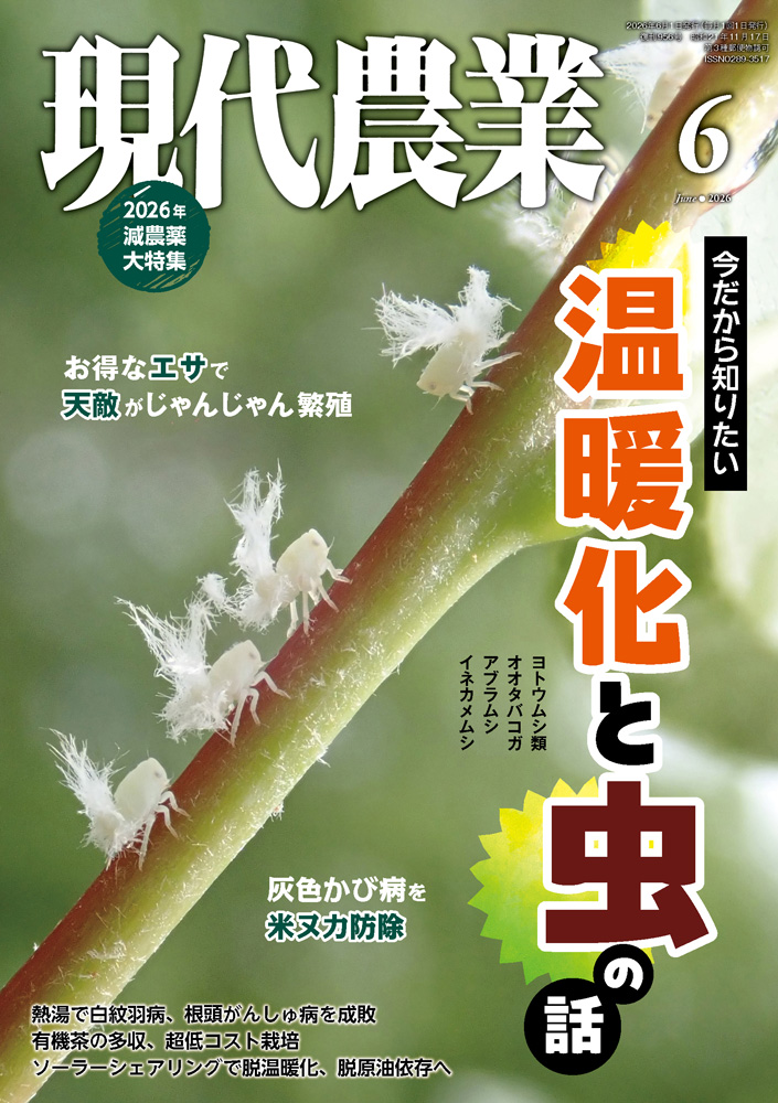 特集:病害虫に強い　土を育てる　最強輪作パターン