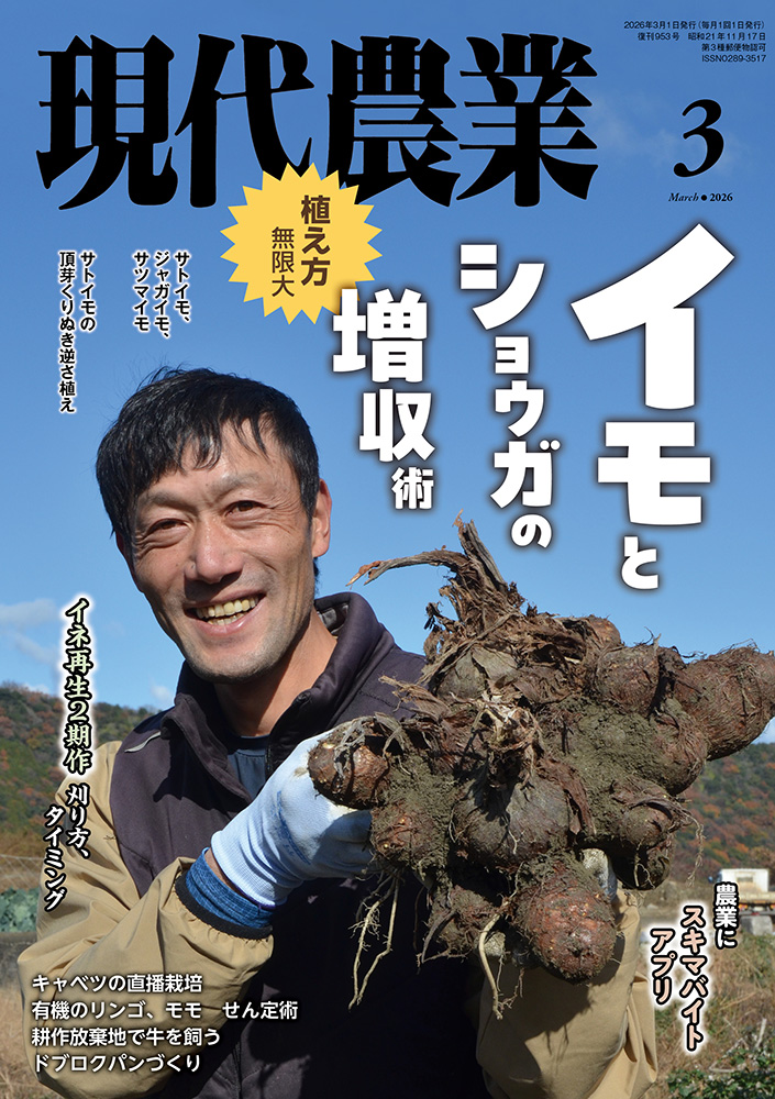 2026年3月号　特集：イモとショウガの増収術