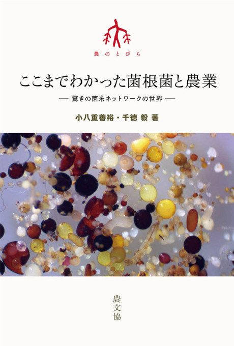 ここまでわかった菌根菌と農業 驚きの菌糸ネットワークの世界★9月11日頃発売