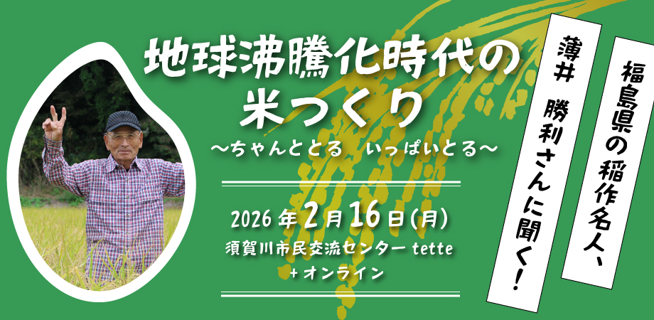 薄井さん米作り