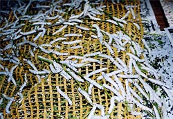 フンとり網(除渣網)