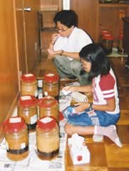 夏休みも観察