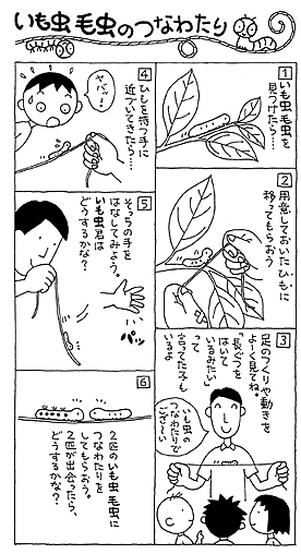 いも虫毛虫のつなわたり