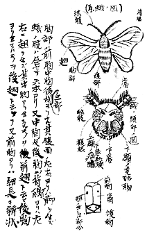 u铉Uv