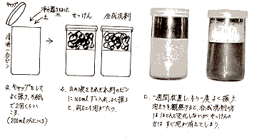 ΂̕