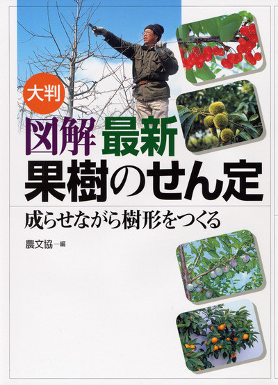 大判図解　最新果樹のせん定