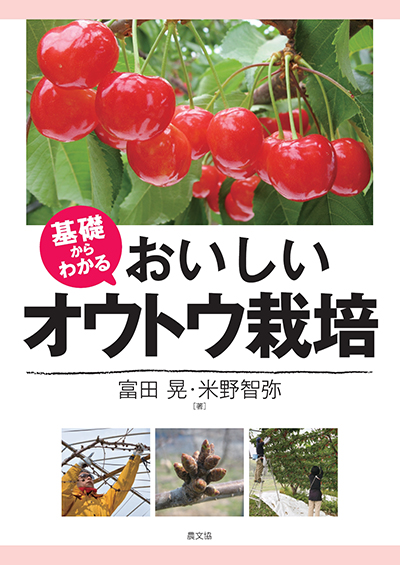 基礎からわかるおいしいオウトウ栽培