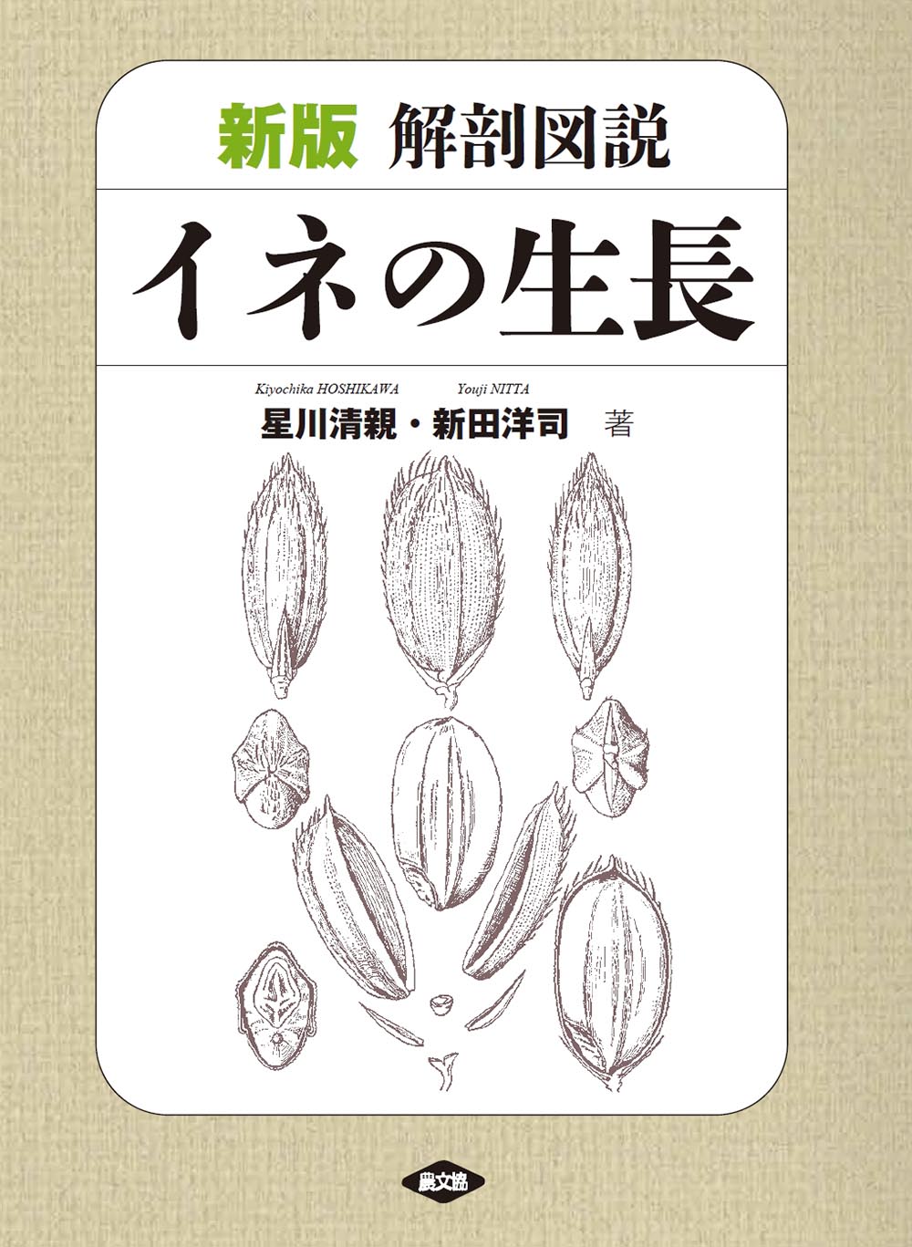 新版　解剖図説　イネの生長