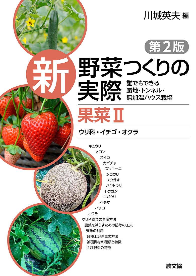 新野菜つくりの実際第２版果菜Ⅱ　ウリ科・イチゴ・オクラ