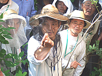 ���{�~�c�o�`�Ɛ��m�~�c�o�`�̌�������