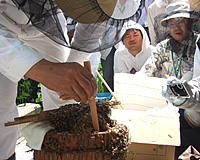 ���n���C