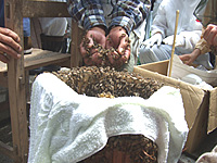 �����o�`�̉���̈ڐA