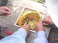 �n�`�~�c����������