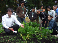 �y�땪�͂̎��K