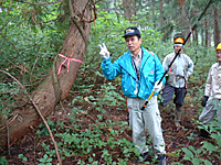 残す木を選ぶ